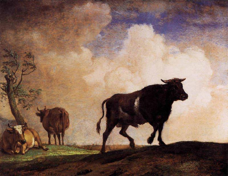 paulus potter The Bull oil painting image